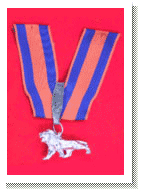 The Silver Lion