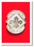 The Chief Commissioner's Thanks Badge