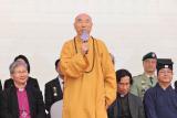 第13張相片