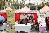 第275張相片