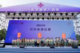 第12張相片